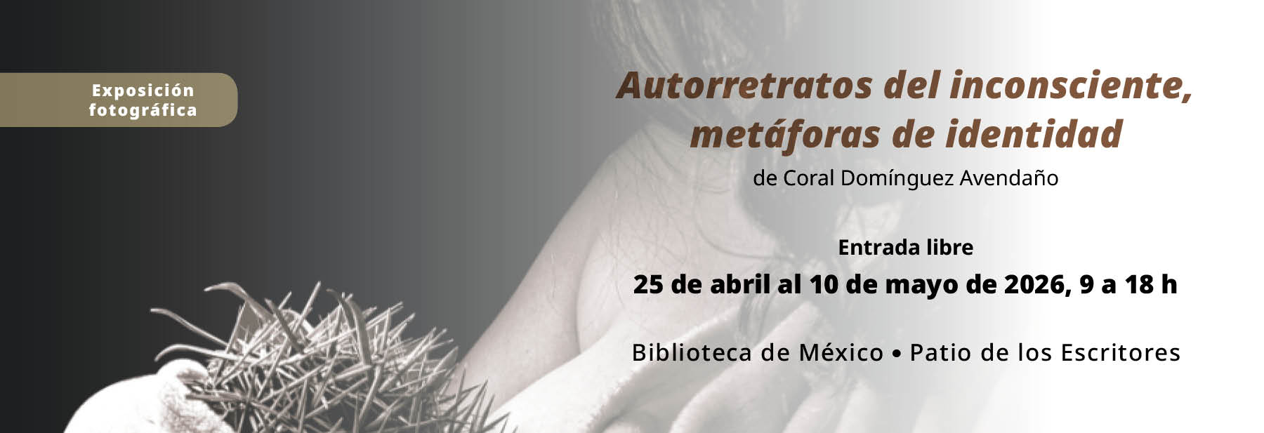 Autoretratos del inconsciente, metaforas de identidad