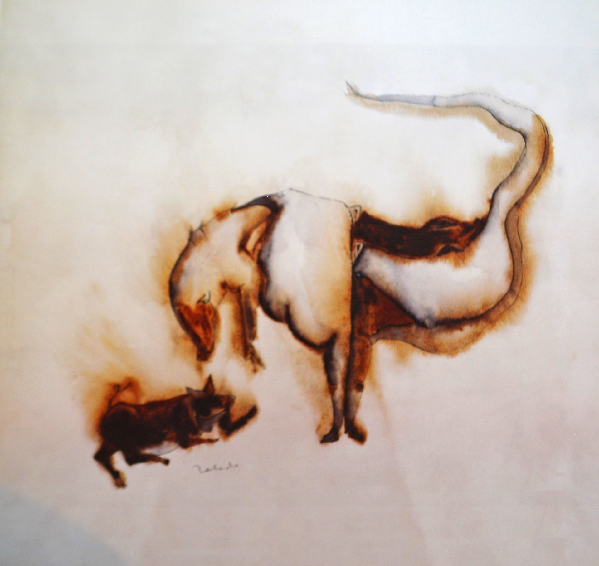 [bbb_1_credibilidad]