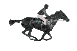 [soto_1_gif_caballo]