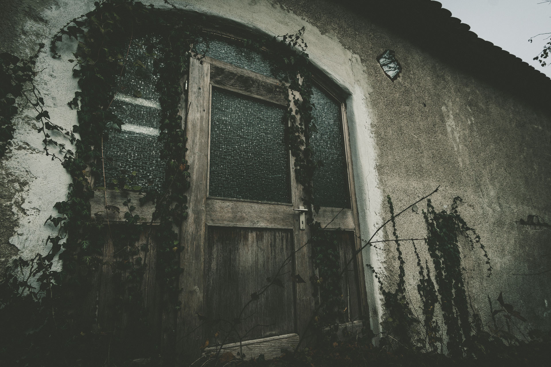 [bbbframe_1_hiedra]