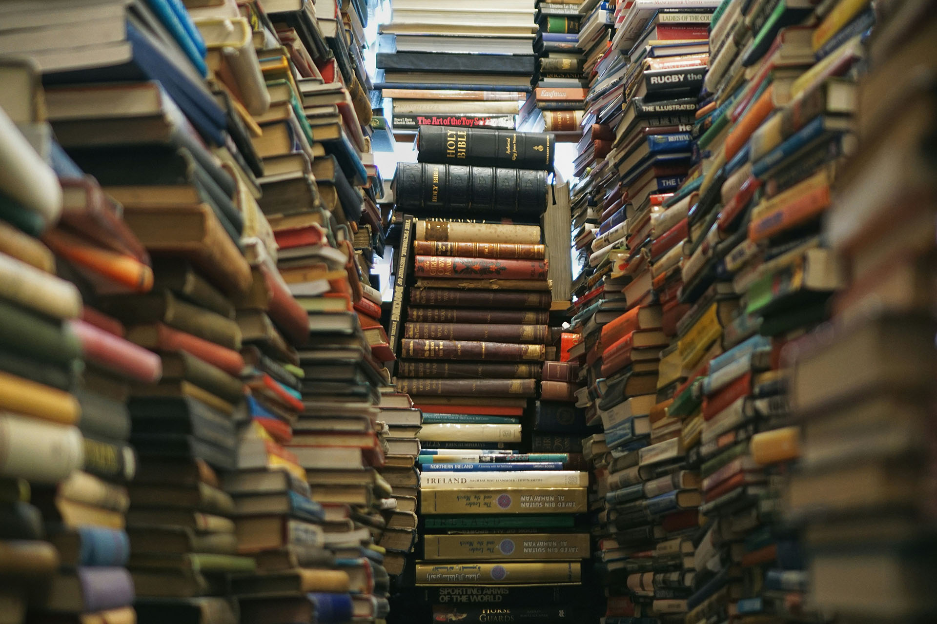 Portada del texto 'Bibliotecarios rockstar' por Betty Bitter Bow