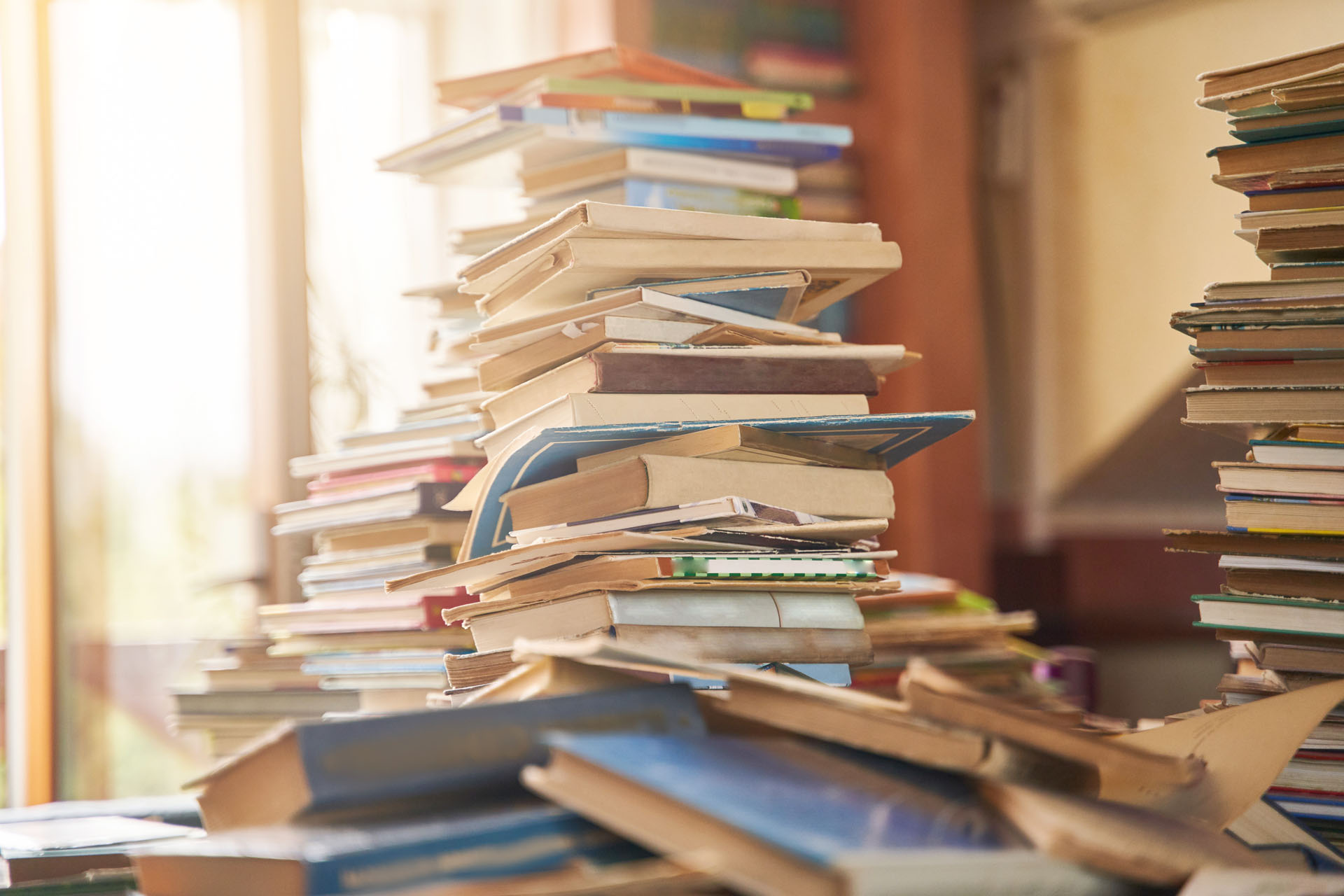 [junco_2_montonlibros]