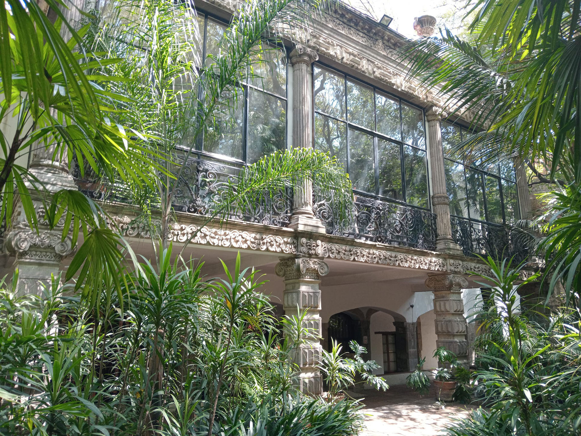 [junco_8.1_museobola]