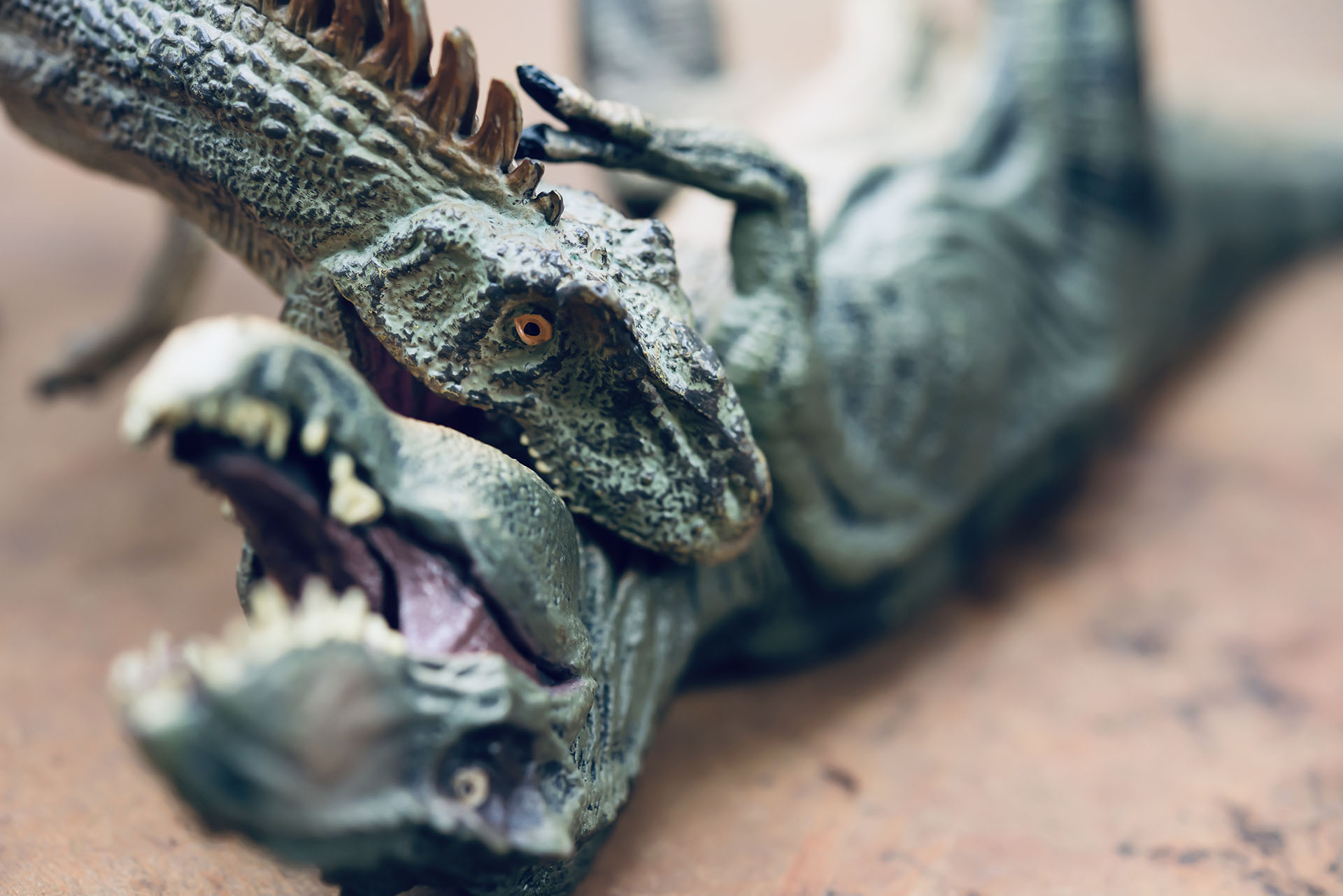 [romo_1_dinos]