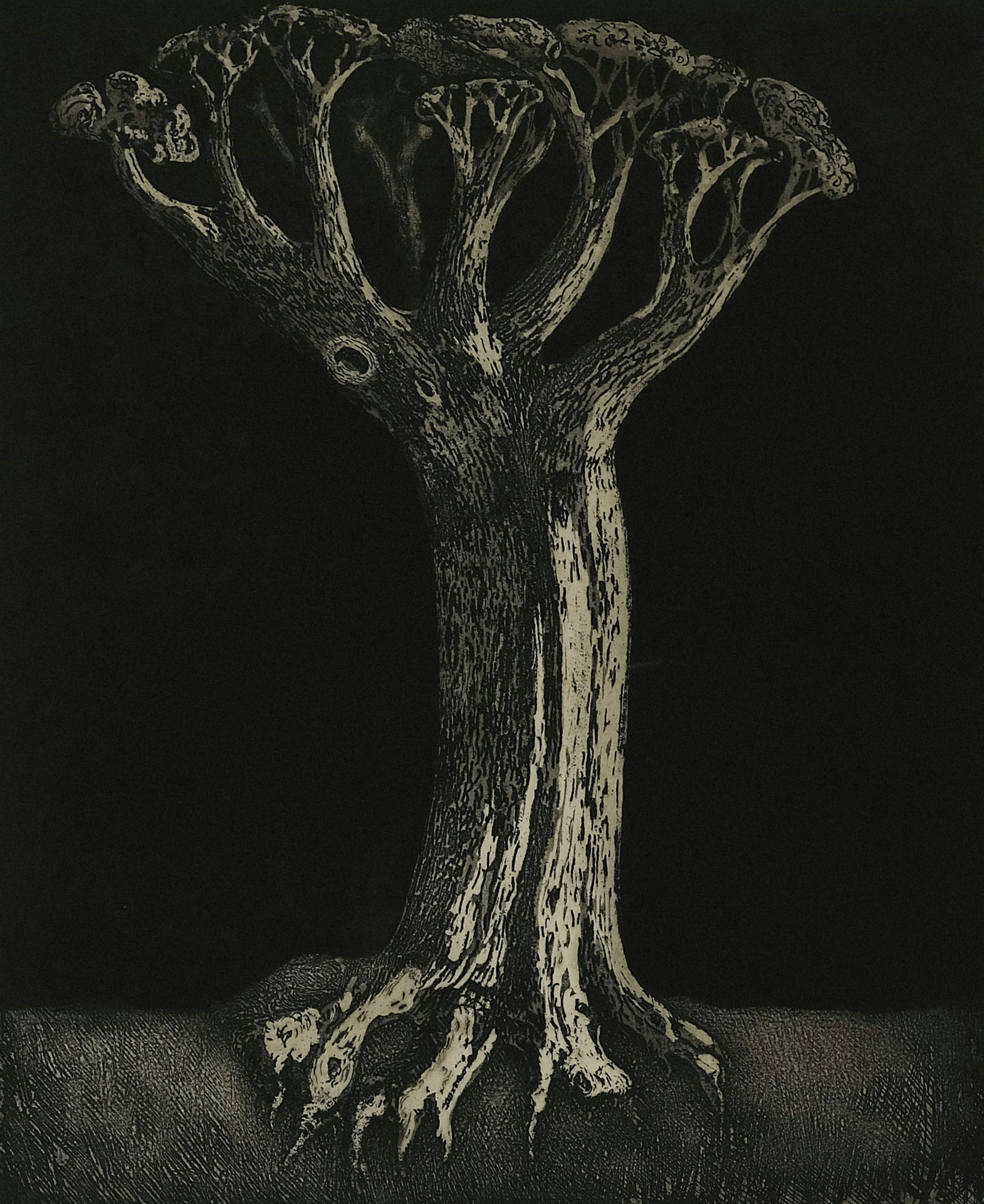 [ybecerra_5_arbol]